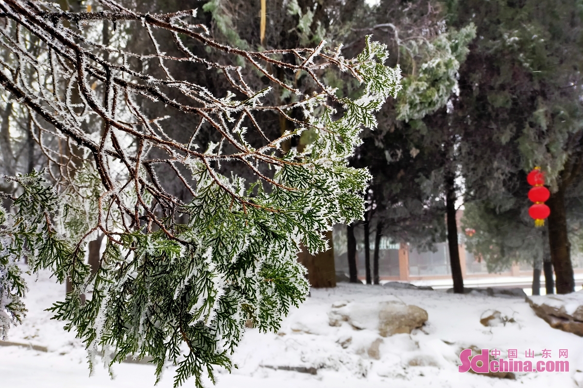 <br/>　　3月1日、済南で再び小雪が舞い上がり、ひらひらと舞い、南部山区で真っ白な雪をかぶった。景勝地は銀に包まれて、珍しい樹氷の景色の再現は、まさに斉鲁の雪国である。<br/>　　
