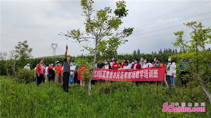 歐寶體育客戶端淄川區舉辦果樹種植技術培訓班