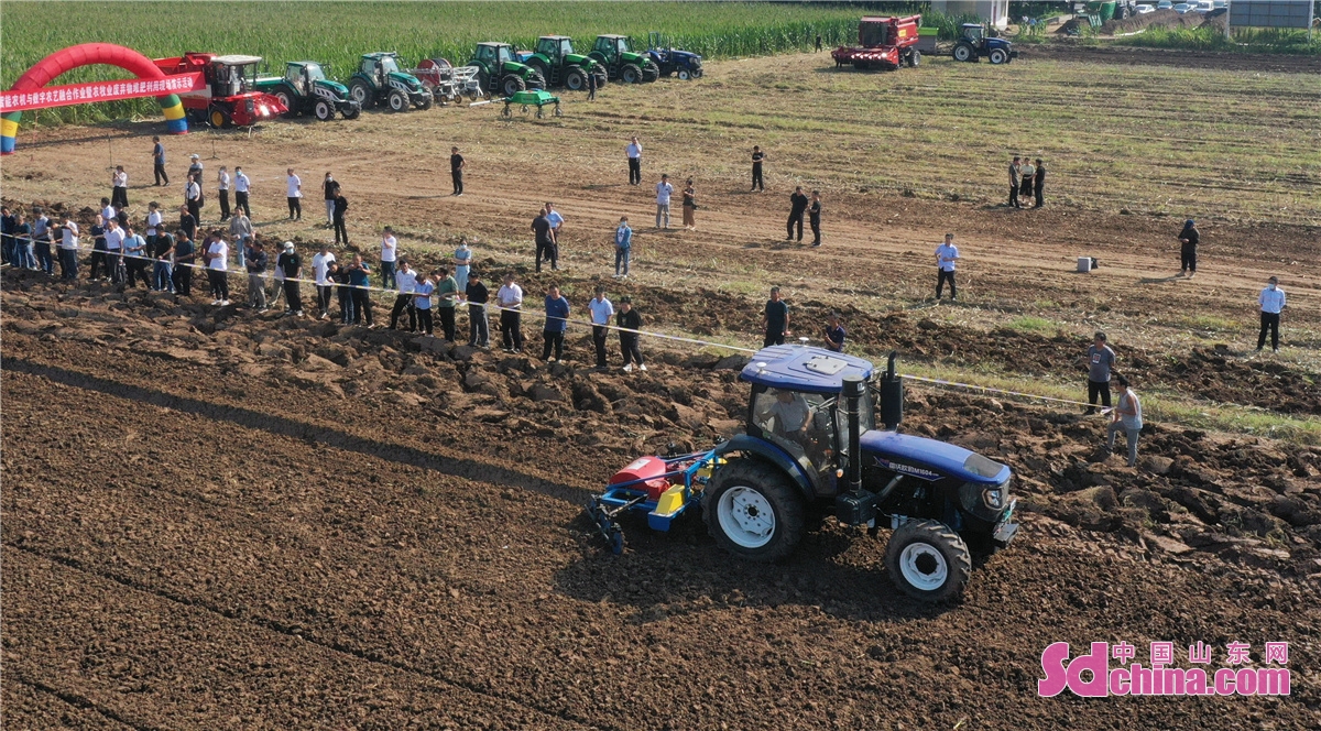On Sept. 11, the operation display on the combination of smart farm machinery and digital agriculture was held in the corn standardized farmland in Luojia Village in Zouping, E China&rsquo;s Shandong Province. More than 200 operators of farm machinery attended the activity, which is committed to reducing grain loss and recycling agricultural and animal husbandry waste, promoting the automated, large-scale and standardized development of agricultural production, ensuring the harvest of autumn grain, and contributing to the revitalization of rural areas.<br/>