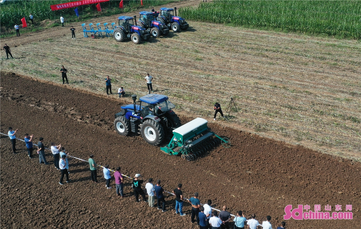 On Sept. 11, the operation display on the combination of smart farm machinery and digital agriculture was held in the corn standardized farmland in Luojia Village in Zouping, E China&rsquo;s Shandong Province. More than 200 operators of farm machinery attended the activity, which is committed to reducing grain loss and recycling agricultural and animal husbandry waste, promoting the automated, large-scale and standardized development of agricultural production, ensuring the harvest of autumn grain, and contributing to the revitalization of rural areas.<br/>