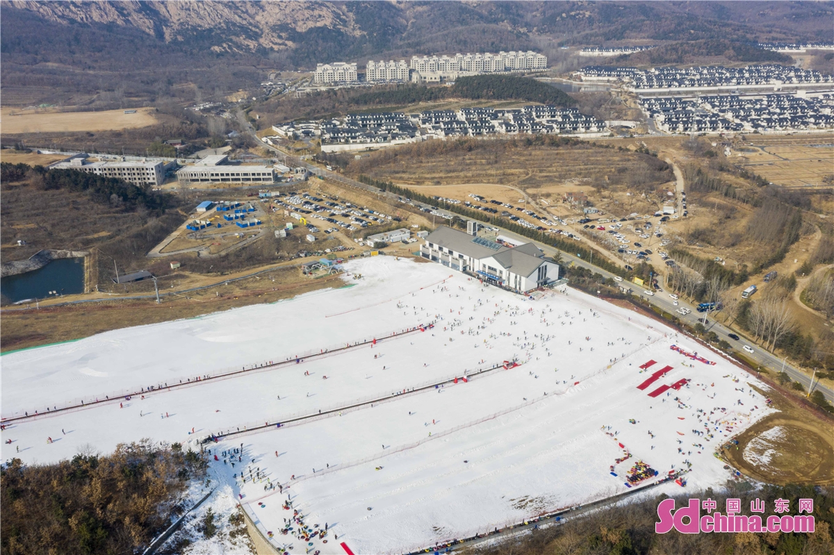 <br/>　　2022年1月15日，山东青岛西海岸新区藏马山滑雪场欢声笑语，市民和游客利用周末时间前来滑雪，感受冰雪运动的魅力。据了解，随着北京冬奥会的临近，藏马山滑雪场的冰雪旅游迎来了好时节，前来体验滑雪运动的市民和游客络绎不绝。(韩加君)<br/>