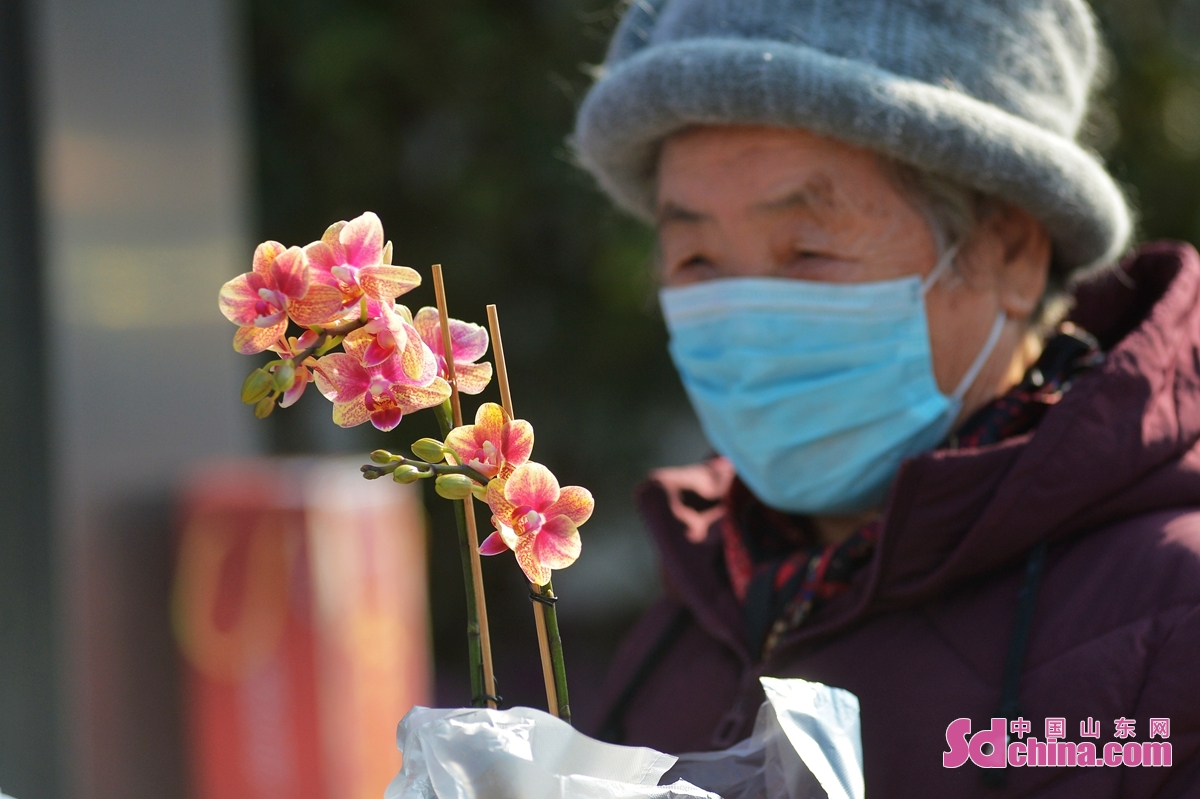 <br/>　　在青岛市崂山区枯桃花卉市场，一名老人对购买的蝴蝶兰爱不释手。<br/>