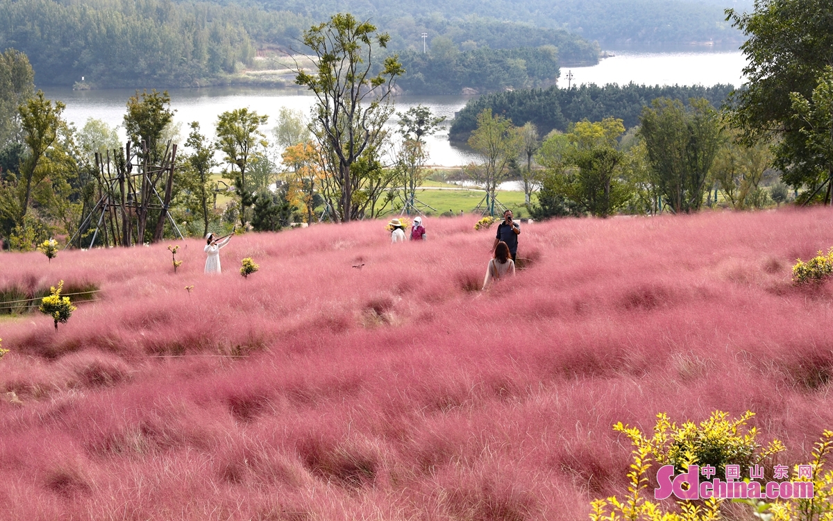 <br/>　　10月7日、観光客は青島西海岸新区における｢花語人間｣の農業観光園で遊び、休日を楽しんでいた。<br/>　　