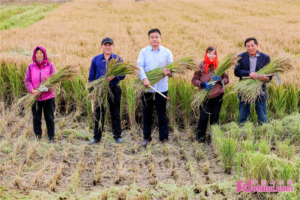 <br/>　　乡亲们手捧丰收的水稻，脸上洋溢着收获的甜美。<br/>