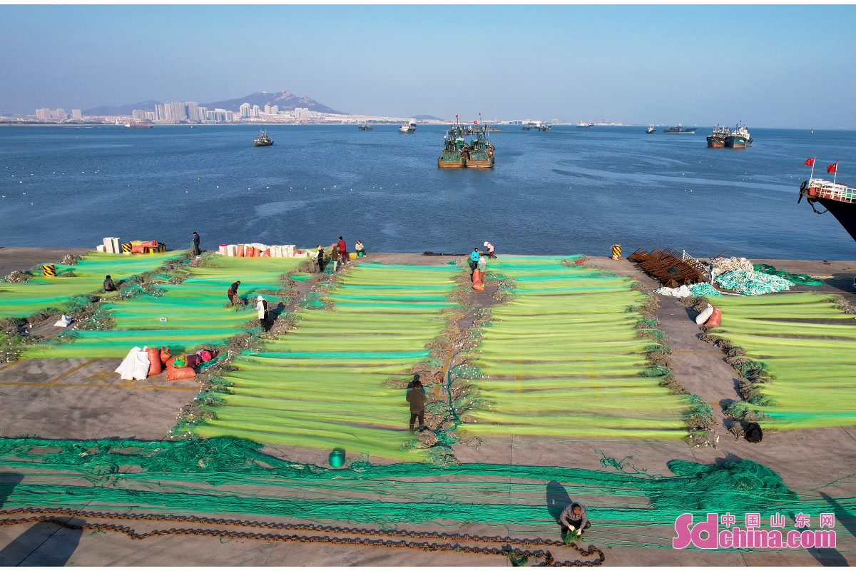 <br/>　　初冬に入り、山東省栄成市の漁民は海へ魚を捕るため、良い天気で漁網を補っている。<br/>　　