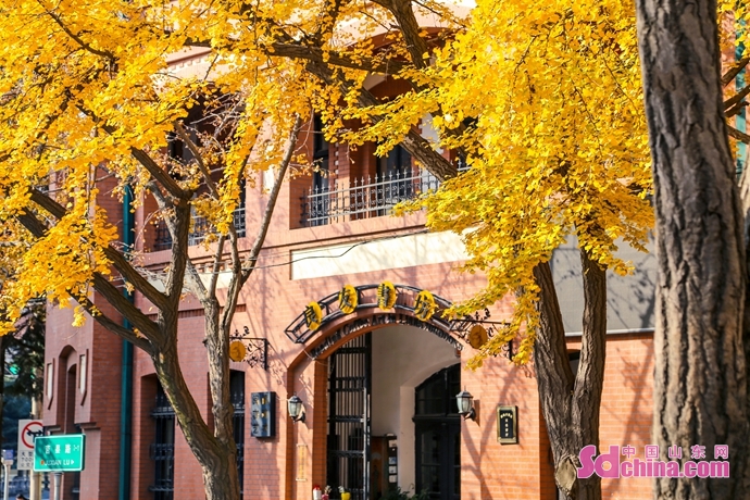 時尚服裝價錢表格模板圖（時尚服裝圖片素材）