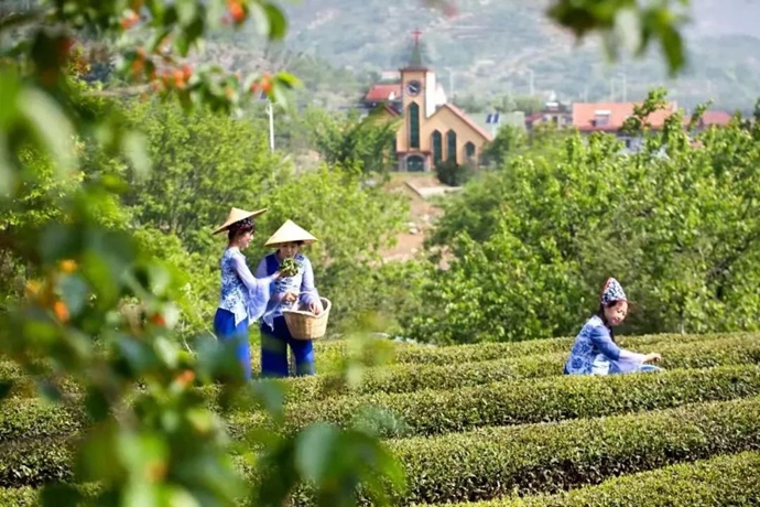 小神龍時尚服裝（小神龍俱樂部現在怎麽樣了）