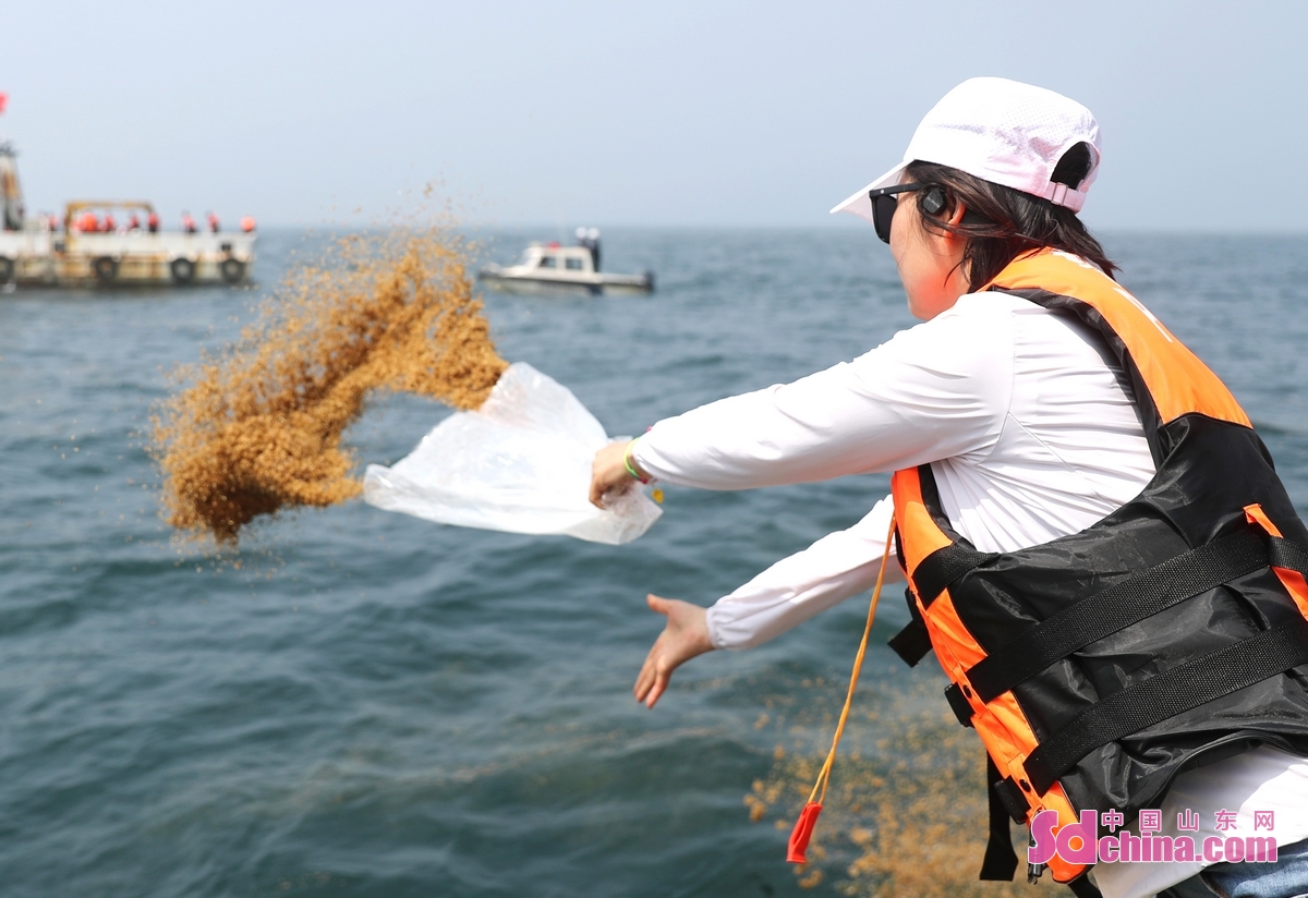 <br/>　　6月6日，工作人员在黄海近海放流对虾、螃蟹等苗种。(张进刚  摄)<br/>　　