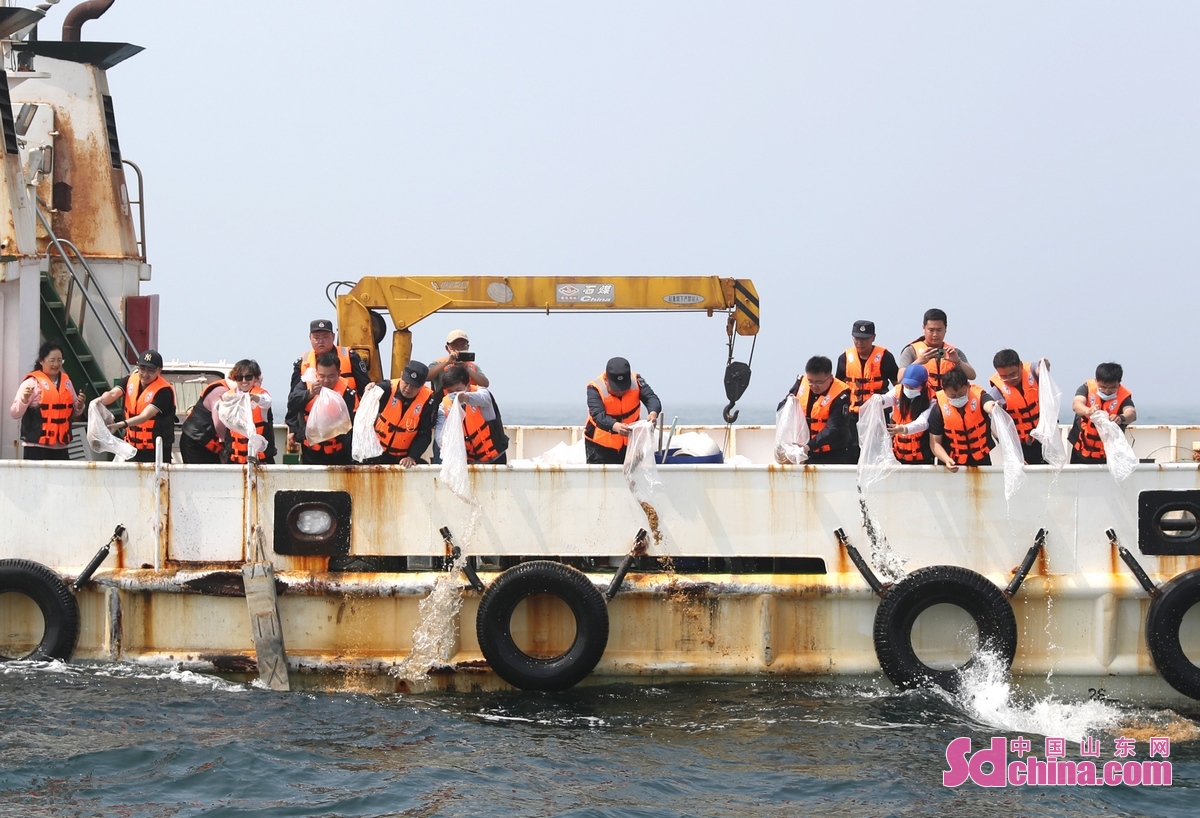 <br/>　　6月6日，工作人员在黄海近海放流对虾、螃蟹等苗种。(张进刚  摄)<br/>　　