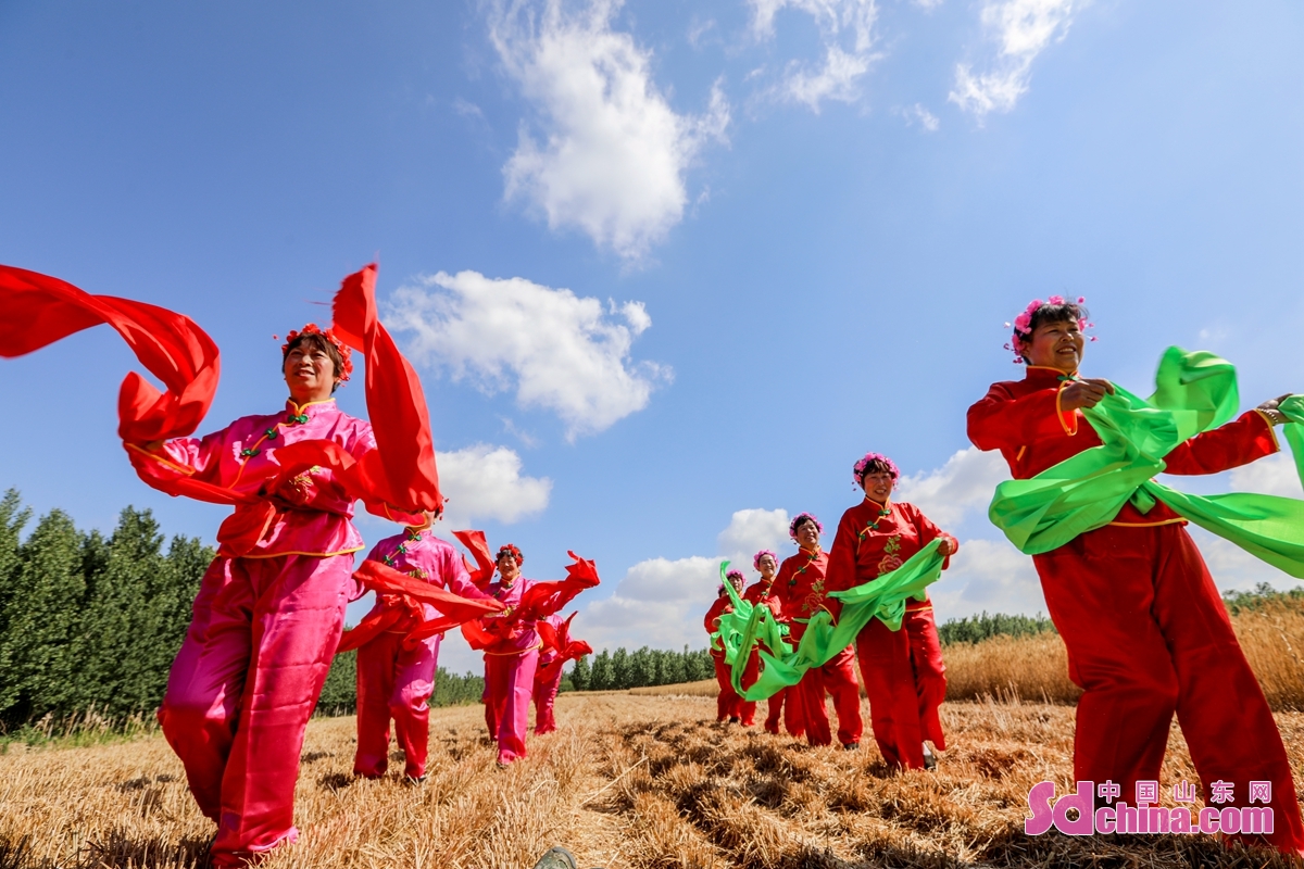 <br/>　　乡亲们唱起茂腔，扭起秧歌，载歌载舞，以传统的农耕文化形式，喜迎风吹麦浪遍地香的小麦丰收时节。<br/>