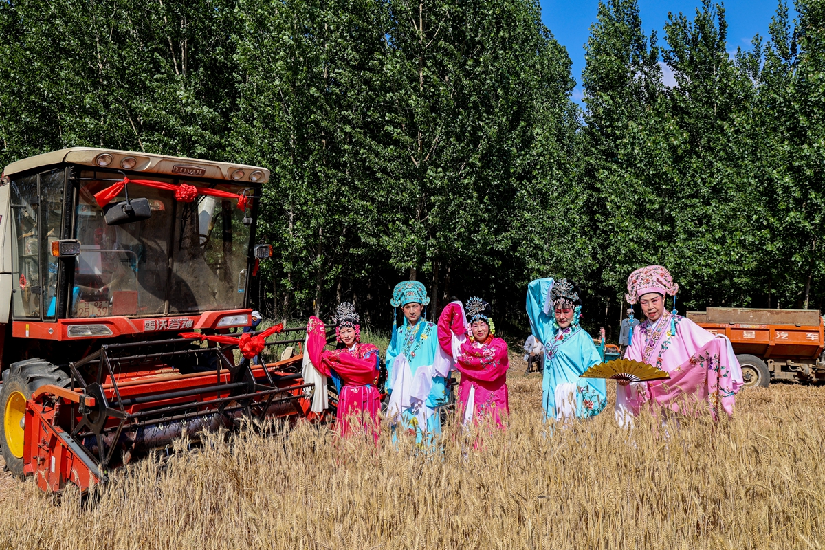 <br/>  <br/>A festivity was held to celebrate the harvest of wheat in Xu Village, Qingdao, E China&rsquo;s Shandong province. Villagers sing miaoqiang opera and perform yangko to welcome the harvest season in the form of traditional farming culture.