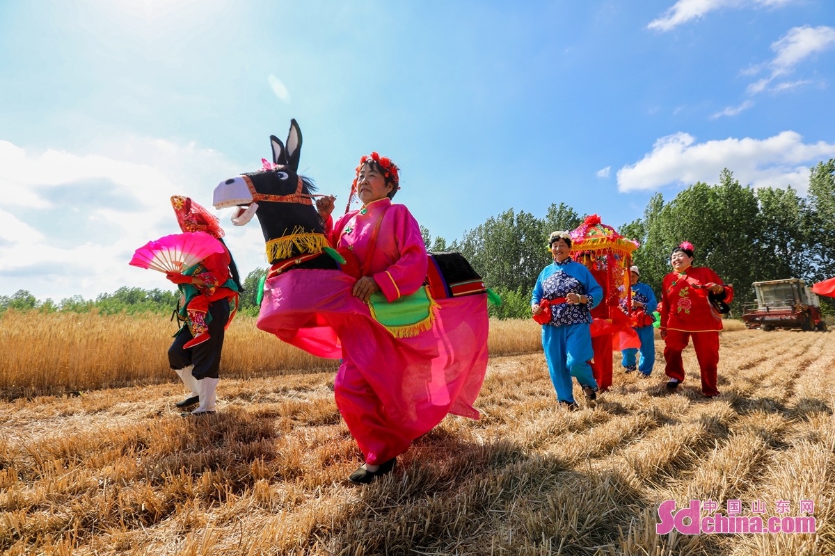 <br/>  <br/>A festivity was held to celebrate the harvest of wheat in Xu Village, Qingdao, E China&rsquo;s Shandong province. Villagers sing miaoqiang opera and perform yangko to welcome the harvest season in the form of traditional farming culture.<br/>