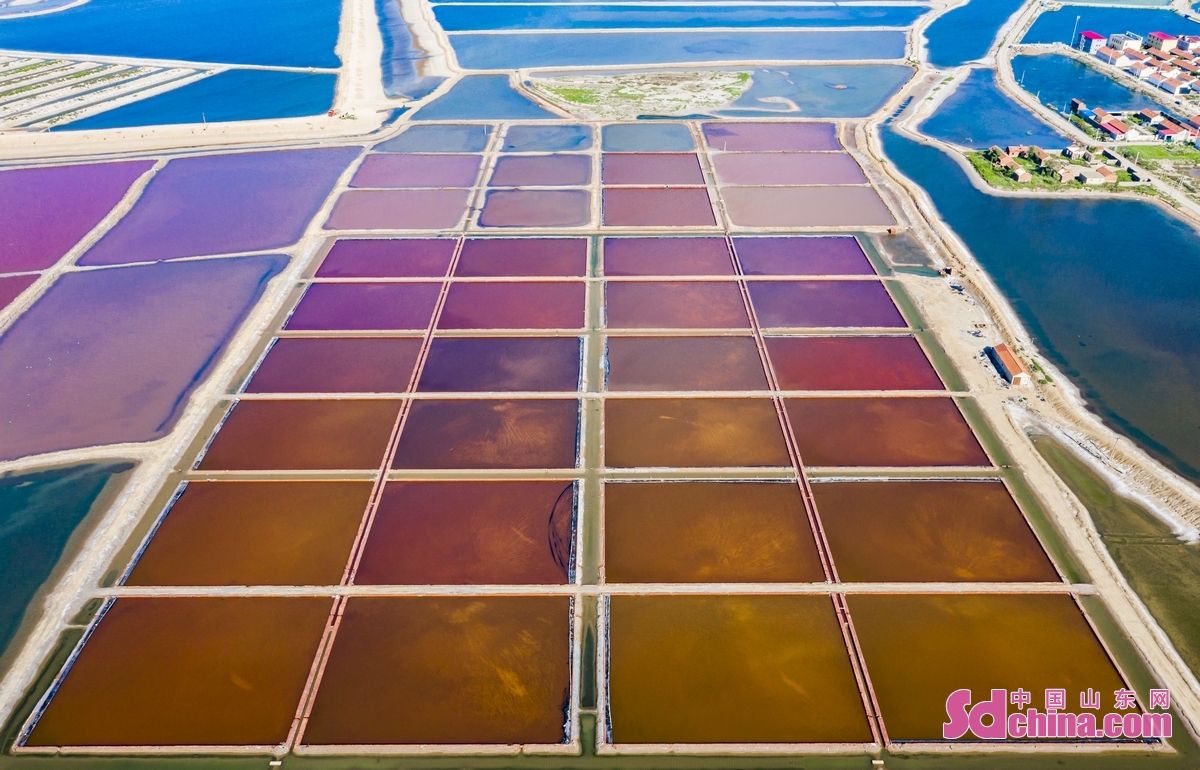 <br/>　　山東省浜州市無棣県魯水溝村、｢七色の塩田｣という独特な風景は絵のように見える。光、海風、温度の影響で、水は蒸発され、塩っぱい程度と蒸発速度の異なるにより、塩田は色々な色彩で見える。<br/>　　