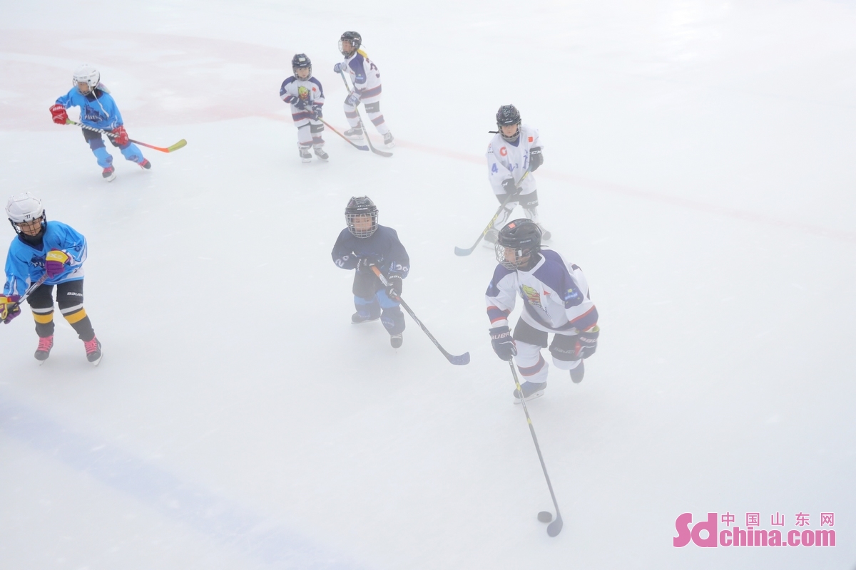 <br/>　　2022年8月8日，在山东省青岛西海岸新区一滑冰场，小队员们进行冰球友谊交流赛。(张鹰 摄)<br/>　　