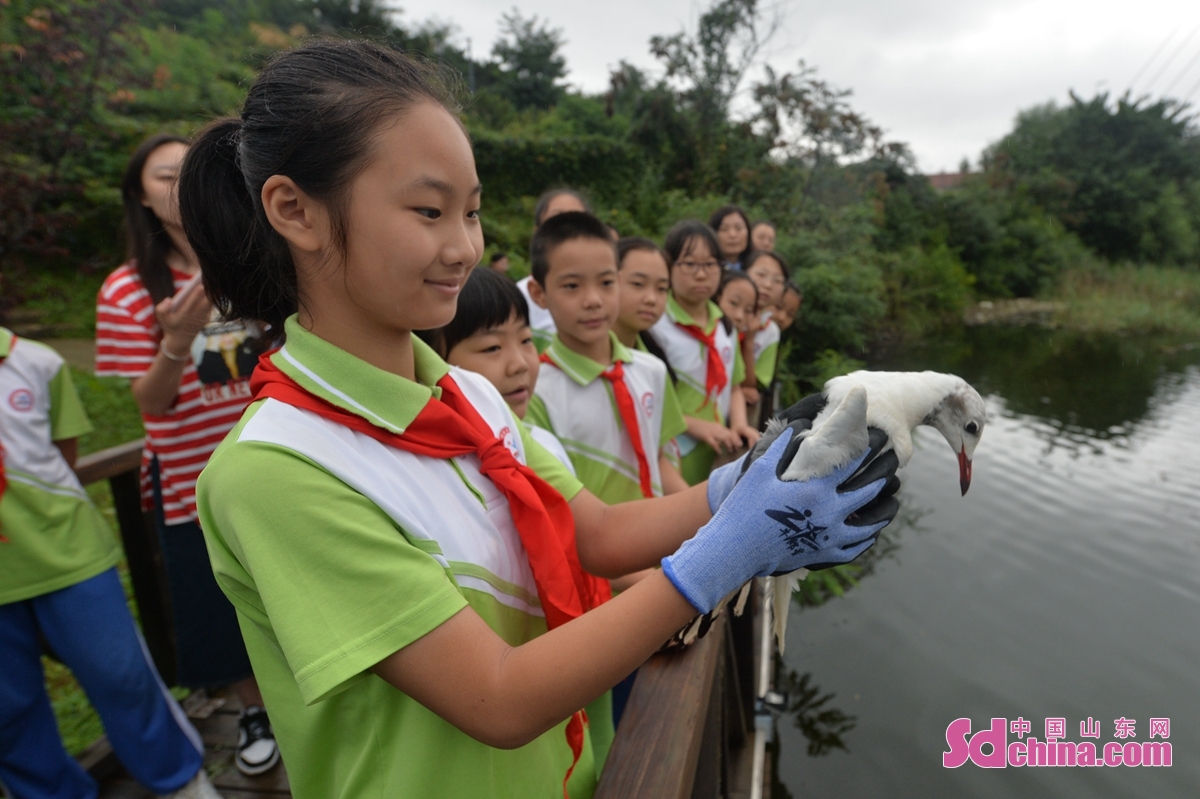 <br/>　　在山东省青岛市城阳区丹山小学科普日活动上，一名学生准备放归红嘴鸥。<br/>
