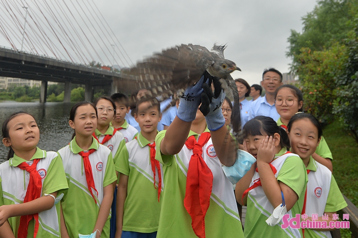 <br/>　　在山东省青岛市城阳区丹山小学科普日活动上，学生们在湿地放归杜鹃鸟。<br/>