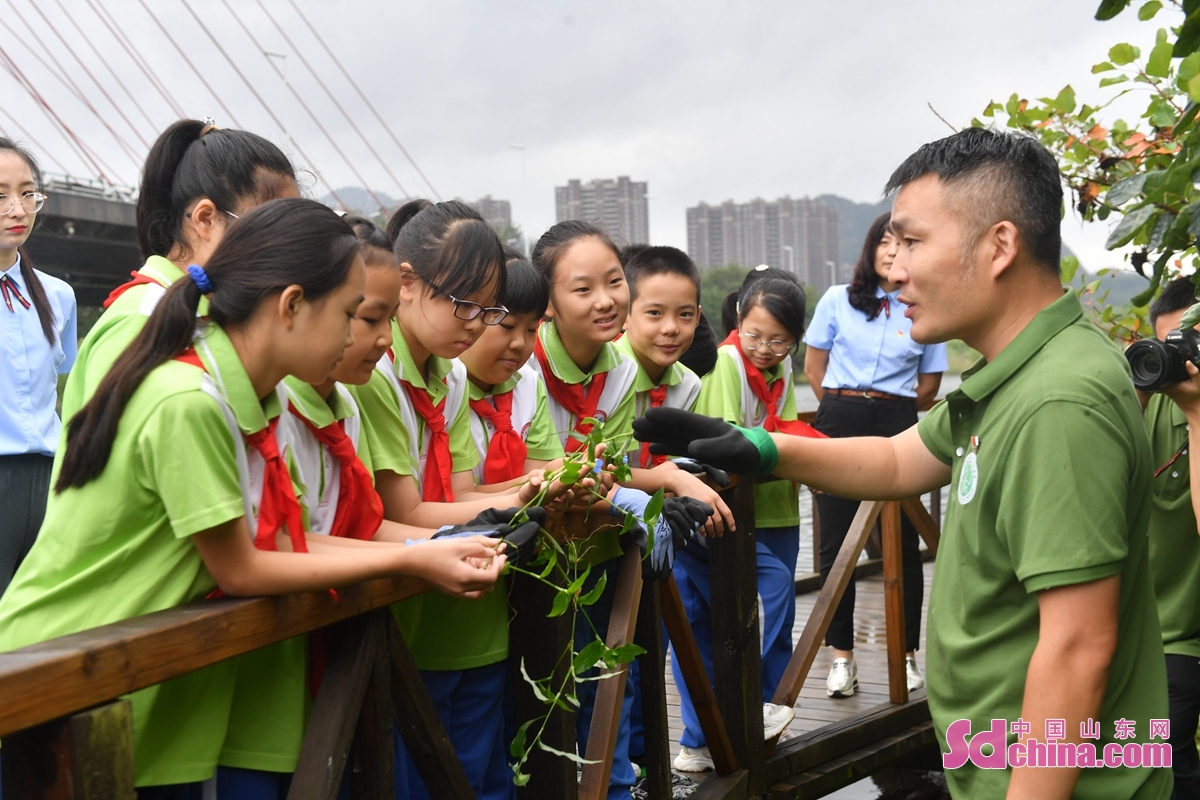 <br/>　　在山东省青岛市城阳区丹山小学科普日活动上，野生动植物保护志愿者为学生科普植物知识。<br/>