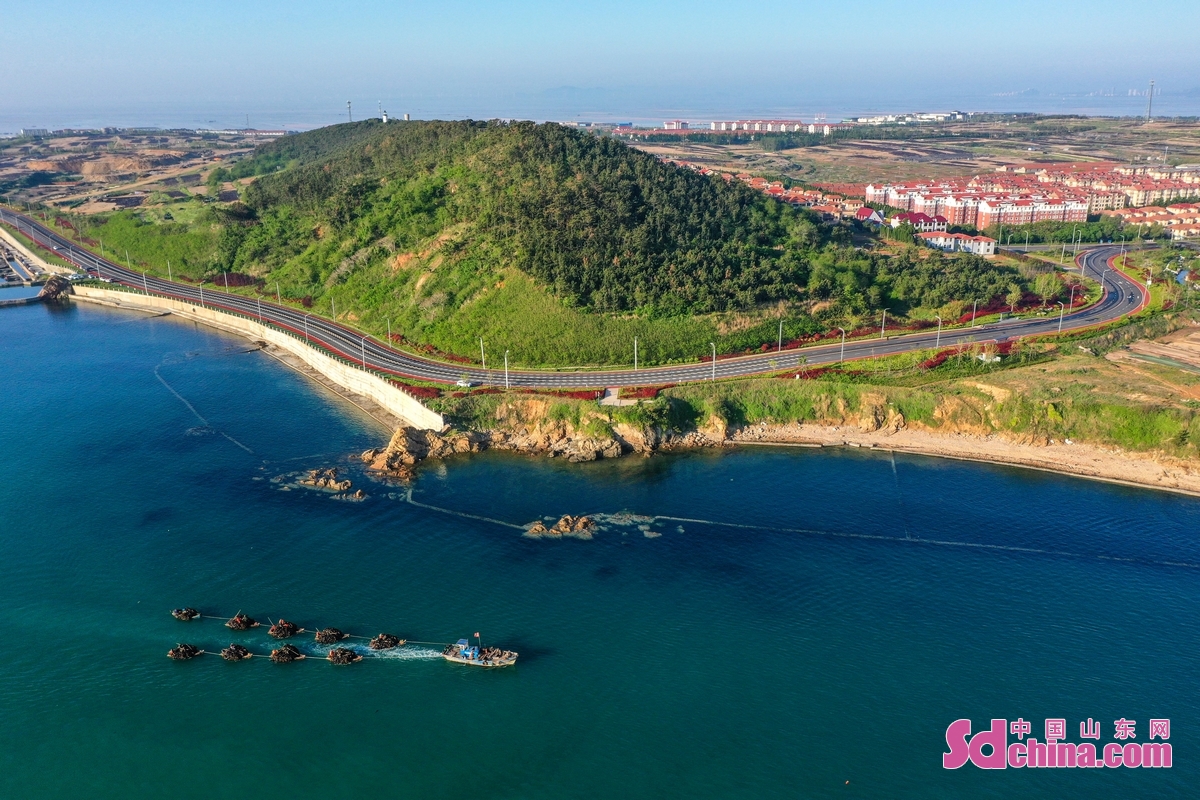 <br/> <br/>Weihai Qianli Shanhai Road,dubbed as the most beautiful highway in China, is 1001 kilometers long, passing through 46 towns, more than 400 characteristic villages, and 194 homestays. It links more than 90% of the core tourism resources in Weihai, turning the city into a huge scenic spot without boundaries.<br/>