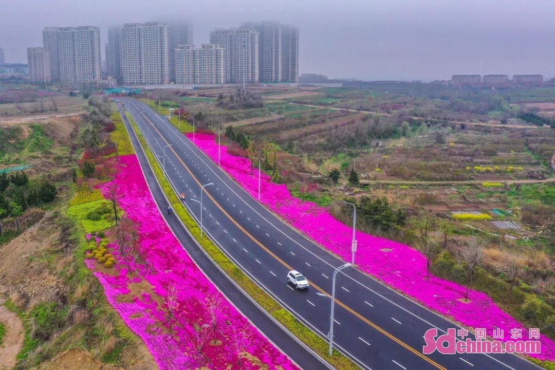 <br/>  <br/>Weihai Qianli Shanhai Road,dubbed as the most beautiful highway in China, is 1001 kilometers long, passing through 46 towns, more than 400 characteristic villages, and 194 homestays. It links more than 90% of the core tourism resources in Weihai, turning the city into a huge scenic spot without boundaries.<br/>