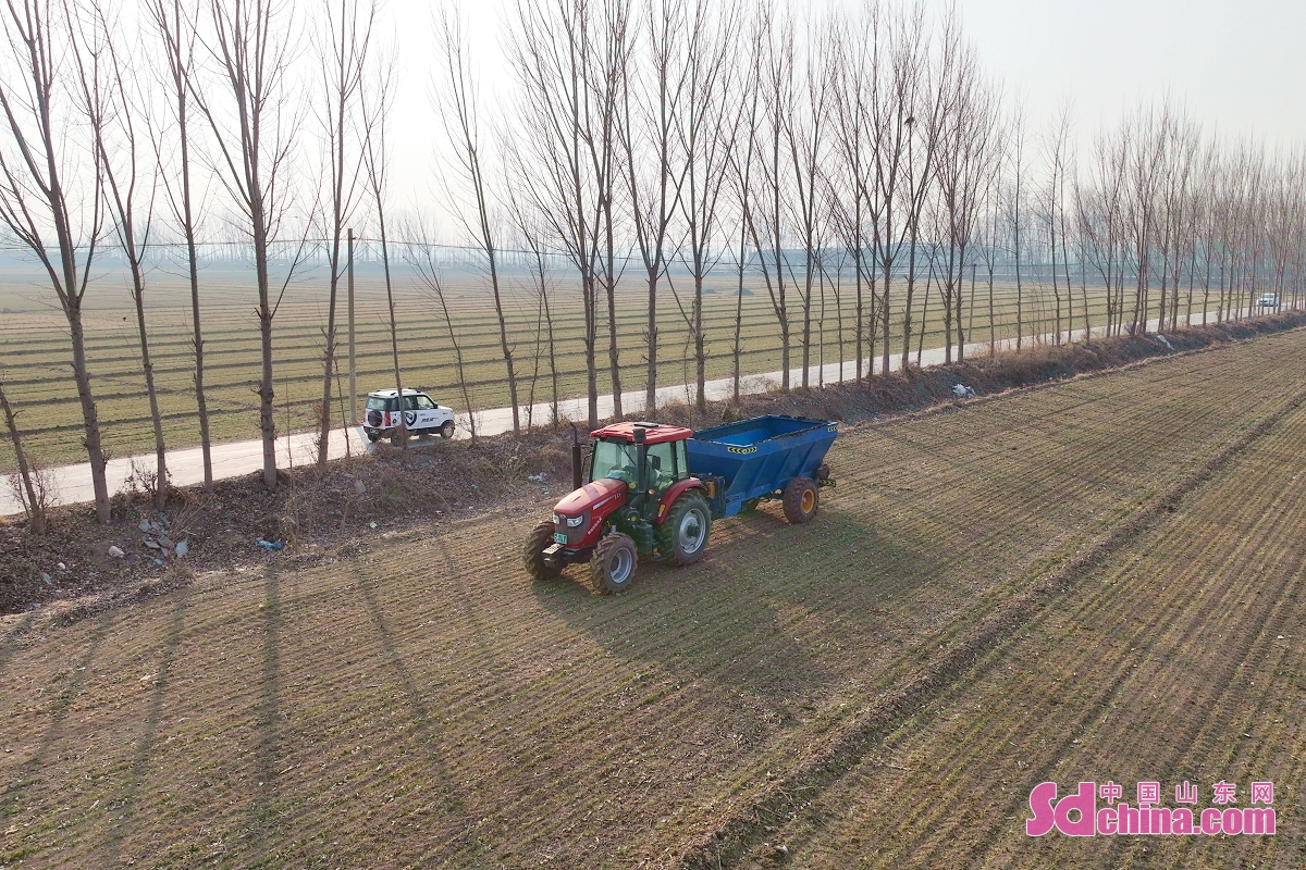 At the Beginning of Spring, farmers conduct scientific agricultural management in Liaocheng, East China&rsquo;s Shandong Province to lay a solid foundation for summer harvest. (Photo by Ma Hongkun)