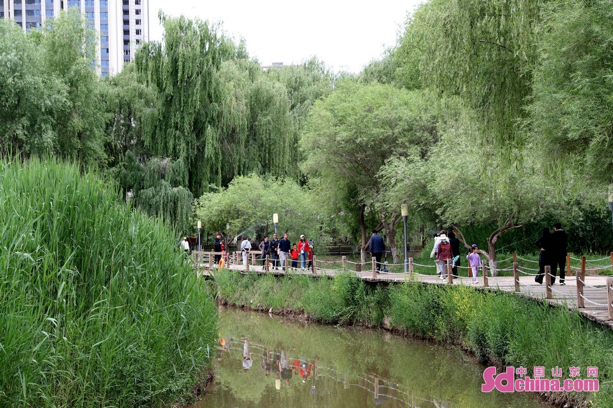 <br/>　　6月4日，黄河兰州段绿意盎然，成了市民游玩休闲的好去处。<br/>　　
