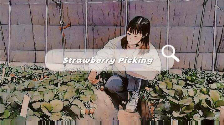 Vlog| Strawberry picking in Jinan, China's Shandong