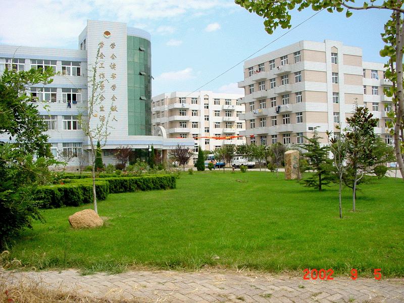  山东 外贸 职业学院 _中国 山东 网