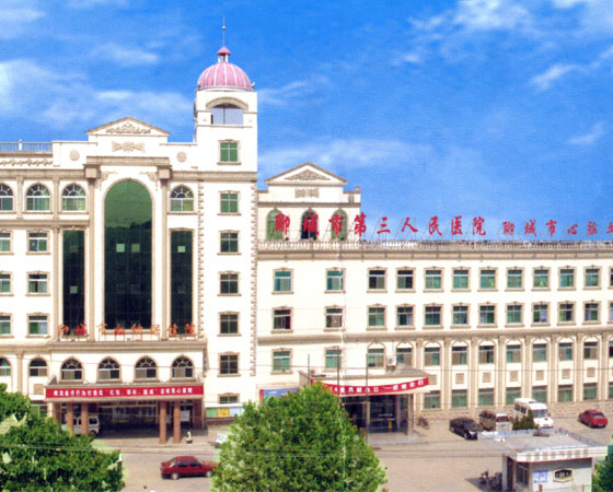 聊城医院排名_聊城海吉亚医院规划图(3)