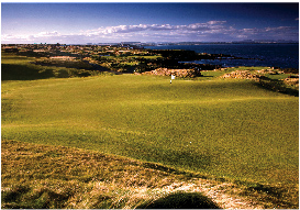 圣<em>安德鲁斯</em>最新球场 美女与野兽的完美<em>组合</em>_中