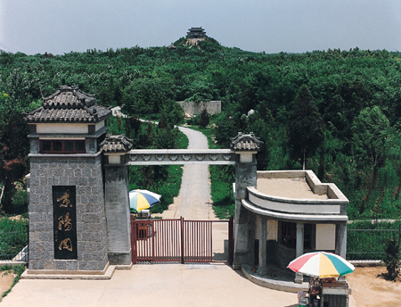 景阳冈