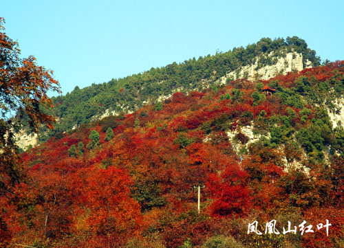 沂源凤凰山