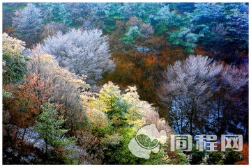 鲁山国家森林公园