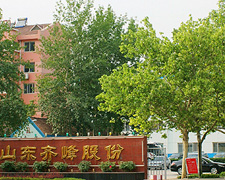 山东齐峰特种纸业股份有限公司