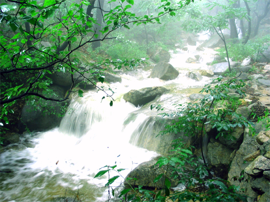新泰莲花山
