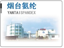 烟台氨纶股份有限公司