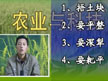 小麦高产栽培技术