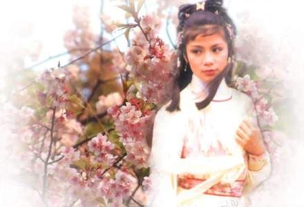 怀念俏黄蓉翁美玲 黄日华:伊人远去万人垂泪