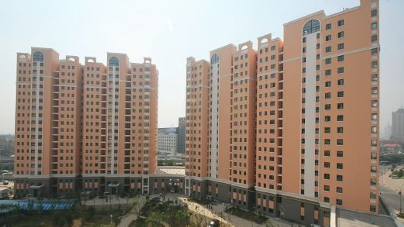 聚焦美丽山东 第九届中国网络媒体山东行