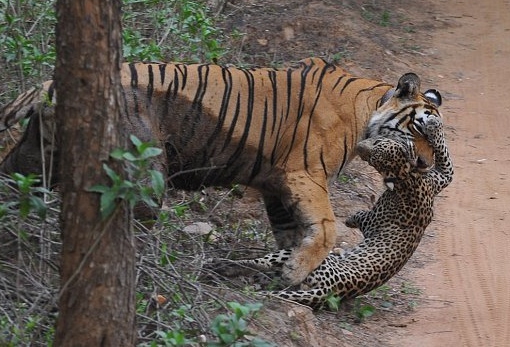 网络文明进校园主题教育活动总结表彰会举行