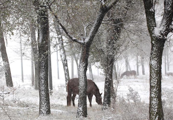 教辅书暴利惊人 山东书商称赚钱都是靠 关系