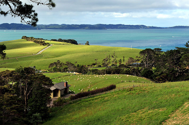 新西兰迎来旅游旺季 中国领事馆首发安全出行