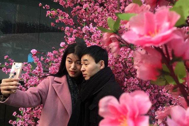 碗碗腔人面桃花伴奏,碗碗腔人面桃花伴奏带