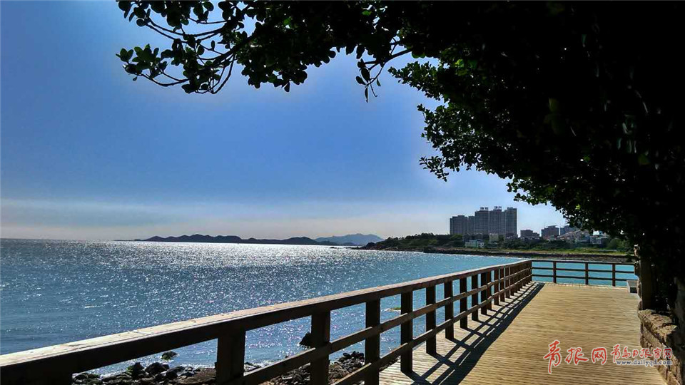 来一波“青岛蓝”!今天的朋友圈不愁没图发