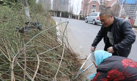 图片关键词 图片关键词