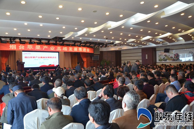 Yantai apple industry seeks high-end development