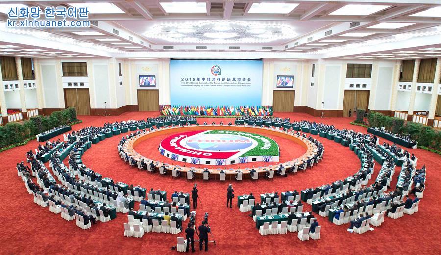 （中非合作论坛）（1）中非合作论坛北京峰会举行圆桌会议
