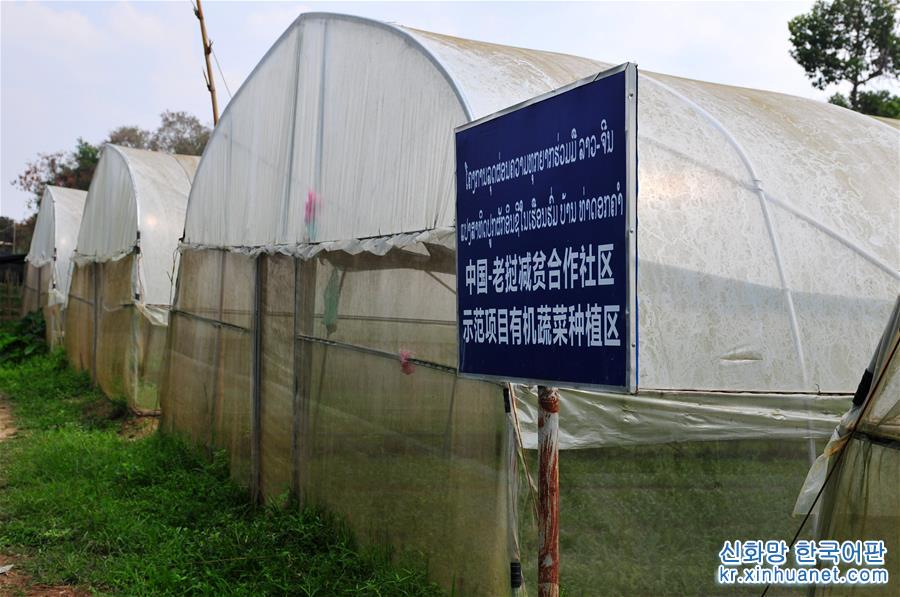 (国际·“一带一路”高峰论坛·图文互动)(1)蔬菜基地诞生记——中国技术让老挝首都郊区农户受益匪浅