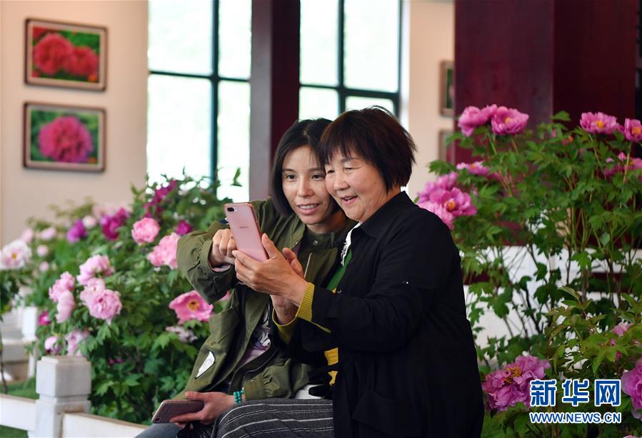 ‘중국 모란의 도시’ 뤄양, ‘꽃명함’으로 ‘꽃경제’ 활성화