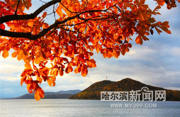 【生态文明@湿地】冰城湿地已增至19.95万公顷,湿地公园16处