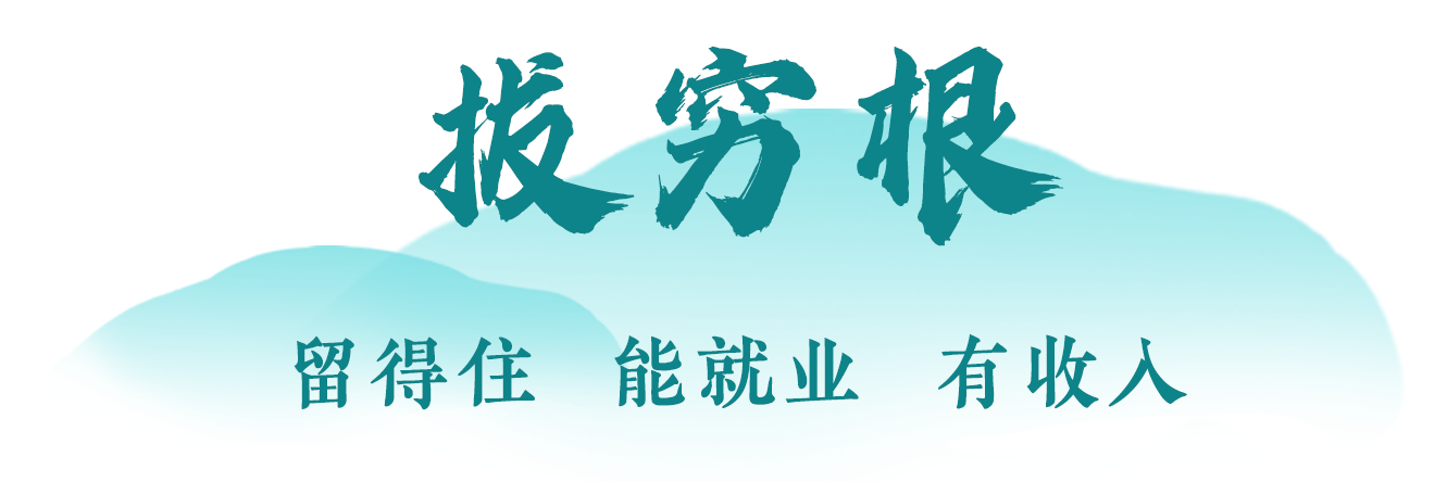 向总书记报告丨富民新村新路子